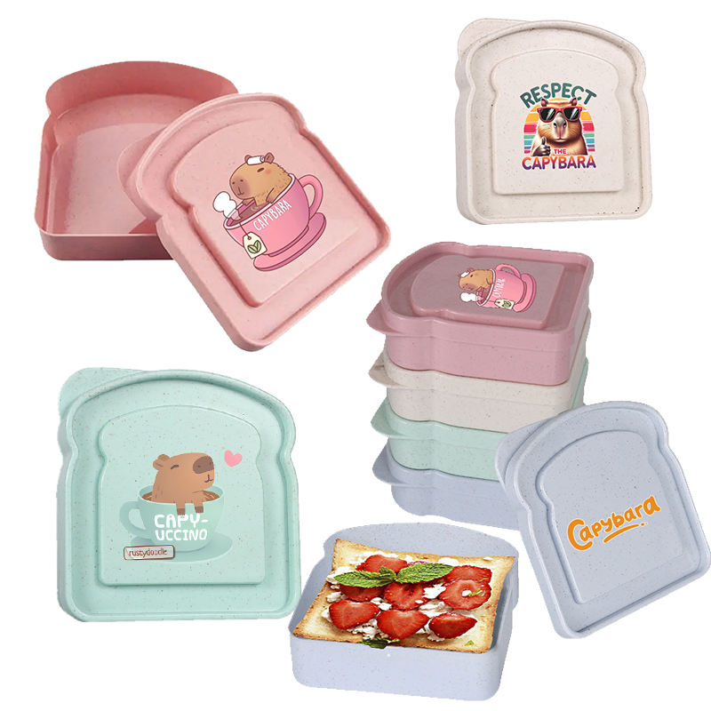 Capybara Sandwich Voedselopber - Food Storage With Dividers recensie en prijs