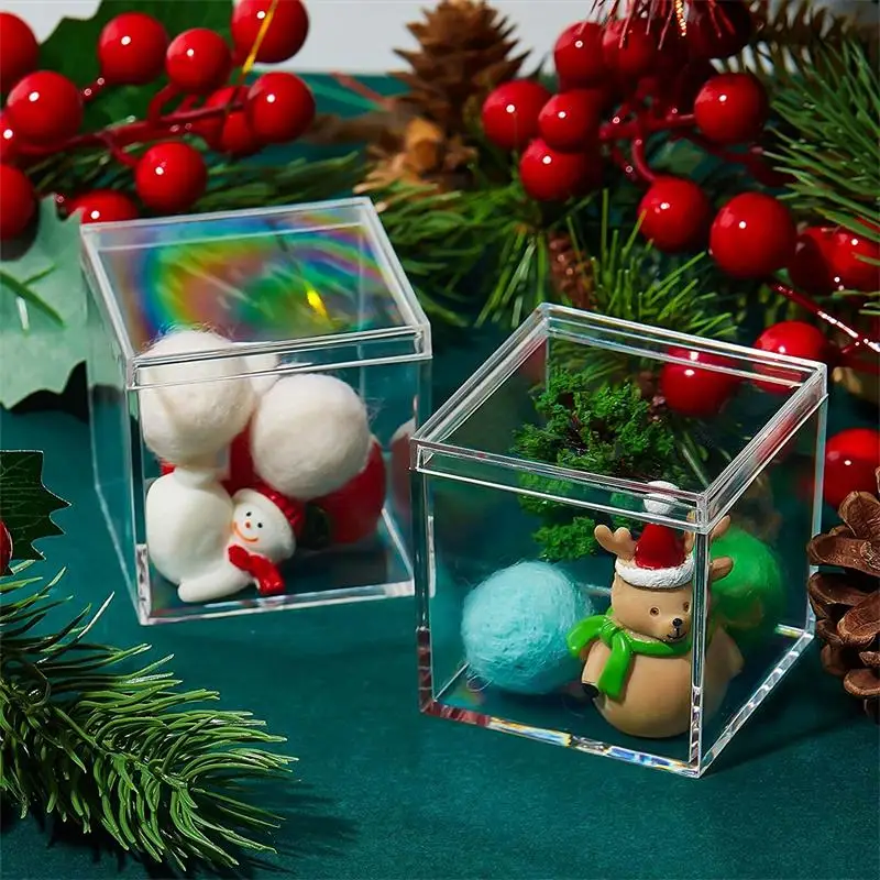 12-delige transparante acryldo - Food Storage With Dividers recensie en prijs